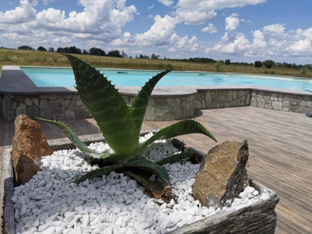 Casale Dei Gelsi Bed & Breakfast Castiglione In Teverina Eksteriør bilde