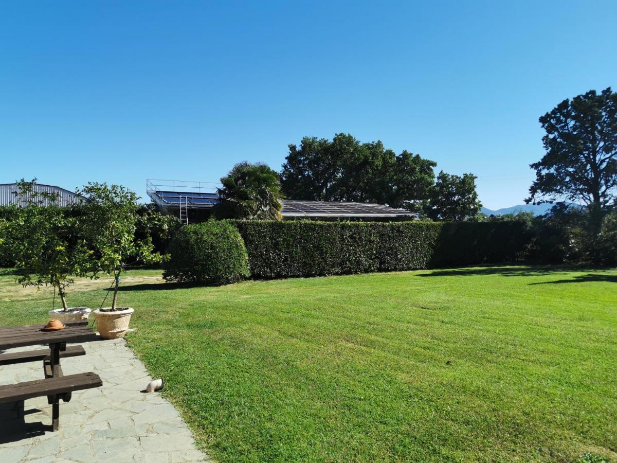 Casale Dei Gelsi Bed & Breakfast Castiglione In Teverina Eksteriør bilde